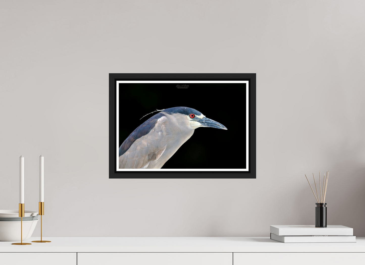 15 x 10″, Black Matte Floater Frame with Acrylic Glass (08B) Black-crowned Night Heron