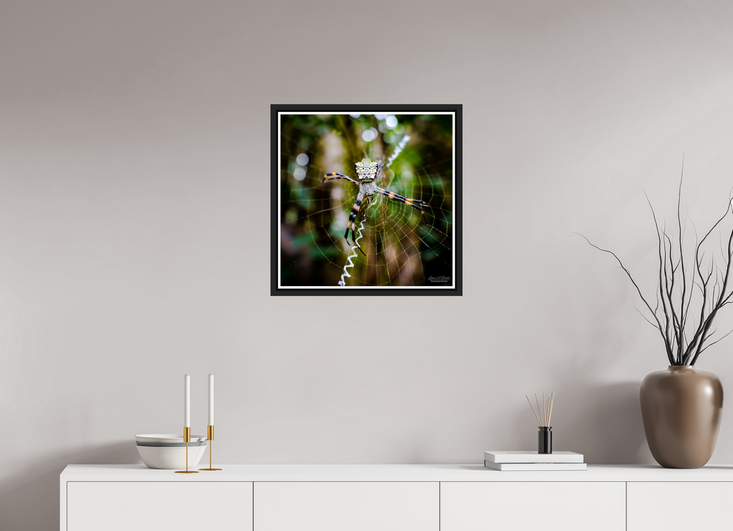 20 x 20″, Black Matte Floater Frame with Acrylic Glass (09A) Spider on the trail