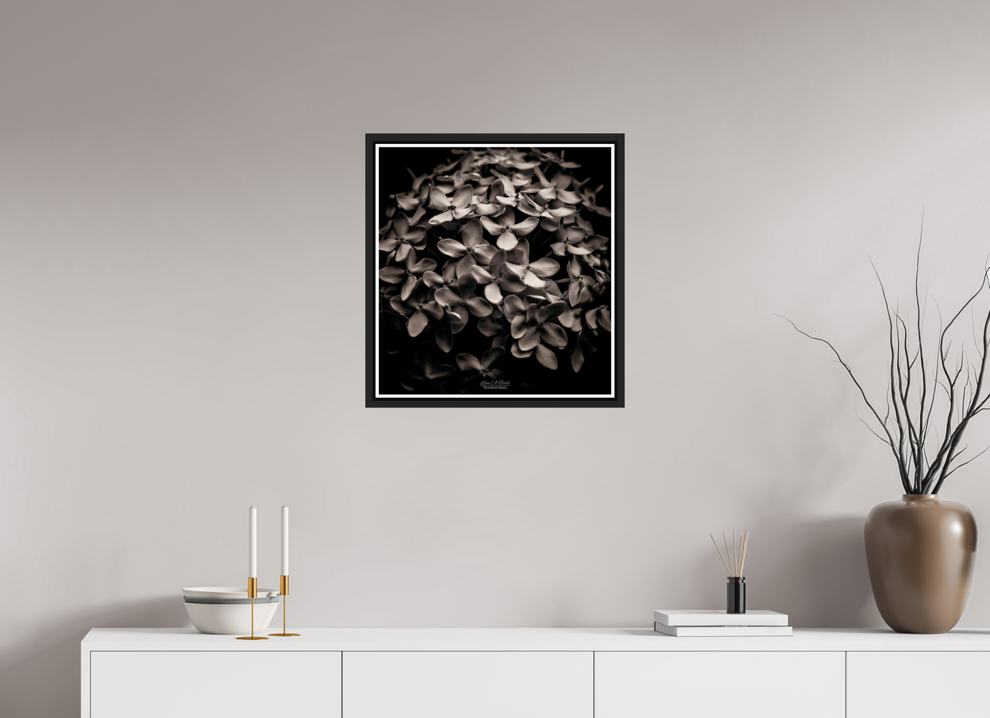 20 x 21.3″, Black Matte Floater Frame with Acrylic Glass (07D) Monochrome Garden