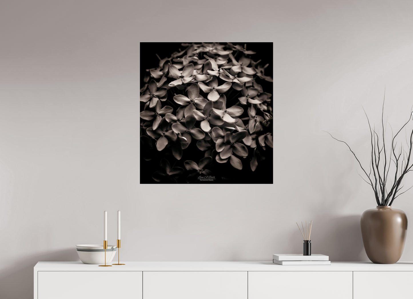 (07D) Monochrome Garden