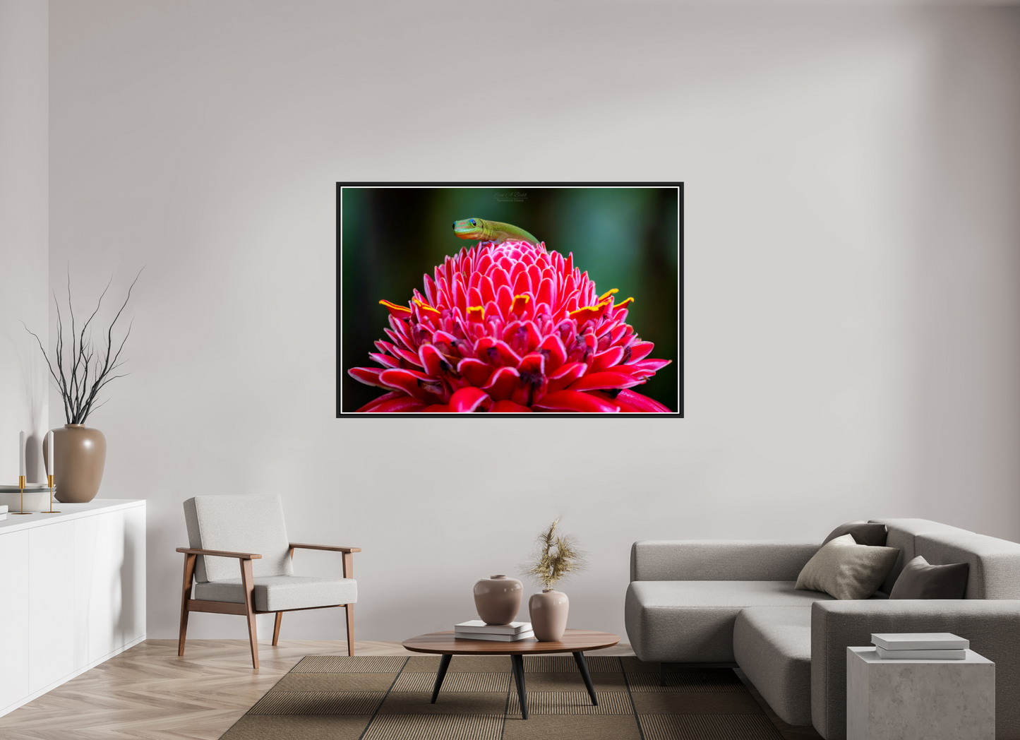 66 x 44″, Black Matte Floater Frame with Acrylic Glass (08F) Gecko on a flower