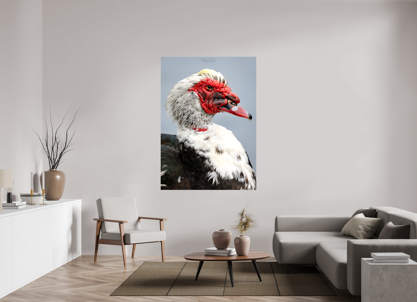 47 x 65.8″, Glossy Canvas Stretcher Frame with Mirrored Edges (08S) Male Muscovy Duck Portrait