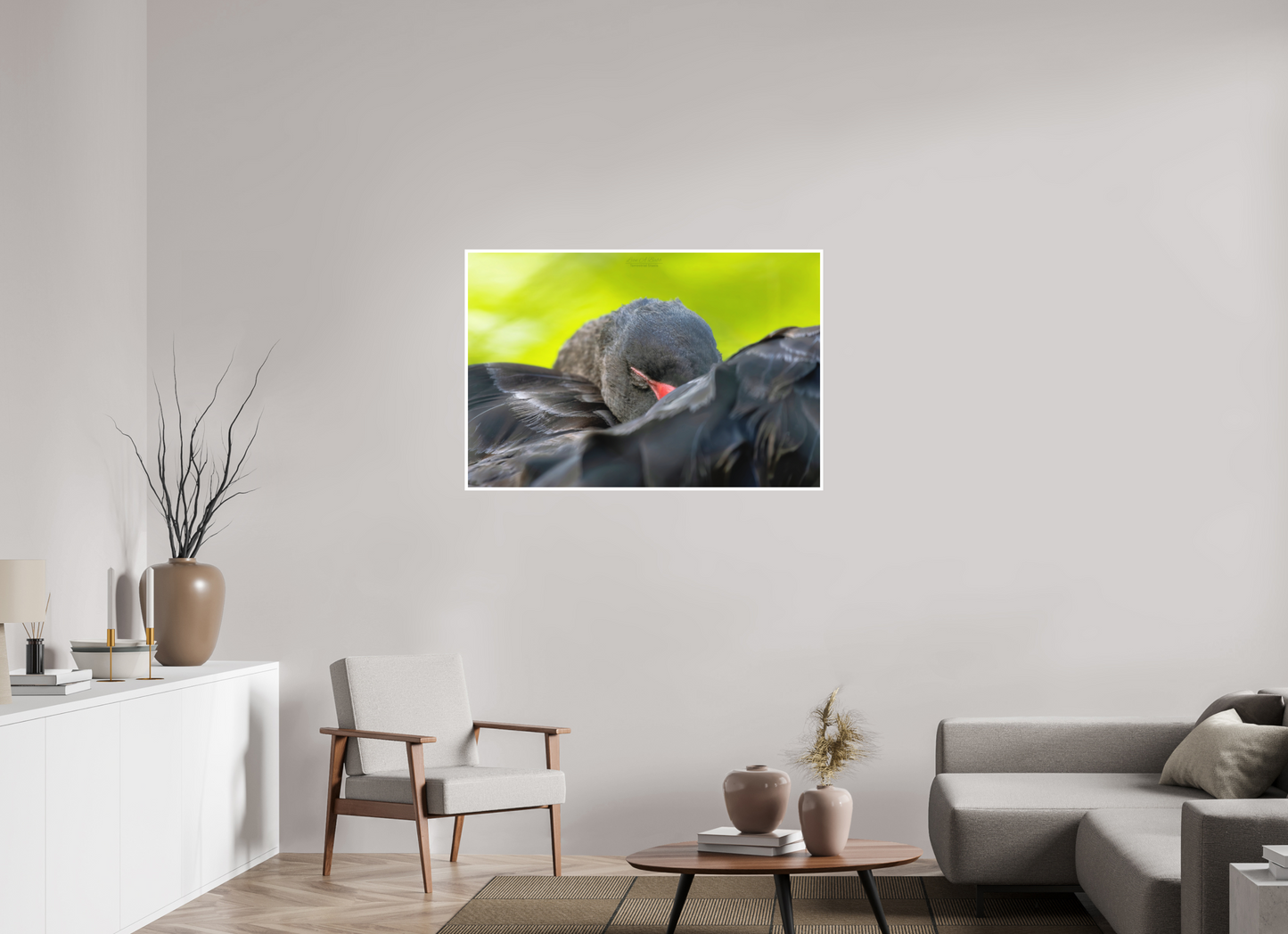 45 x 30″, Photo Print with Matte Lamination (08A) Black Swan