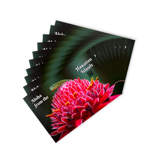 (02C) Postcard Set (10) - Hawaii Island Gecko