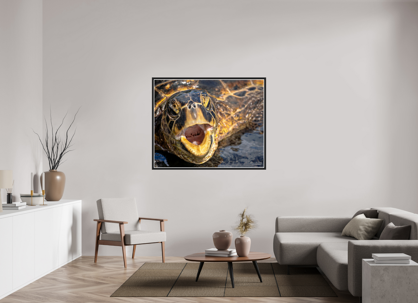 53.7 x 43″, Black Matte Floater Frame with Acrylic Glass (000) Honu’s Serenade