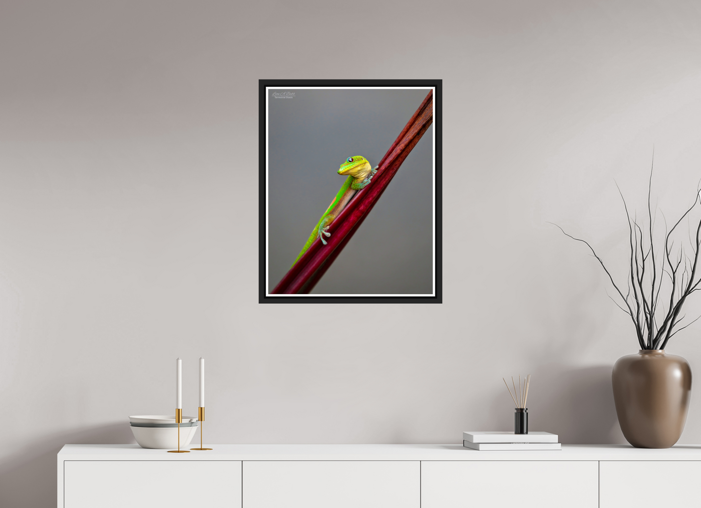 20 x 25″, Black Matte Floater Frame with Acrylic Glass (08R) Focused Stare