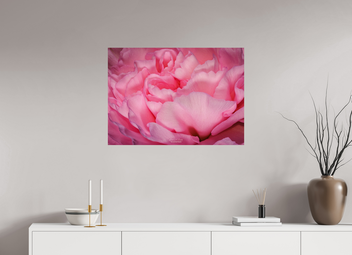 33.6 x 24″, Print with Aluminum Backing and Glossy Lamination Radiant Pink Petals