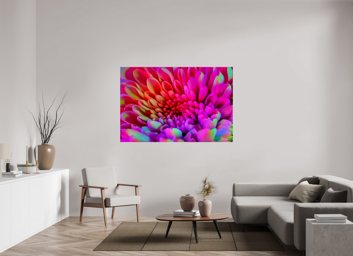 66 x 44″, Photo Print Under Acrylic Glass ????