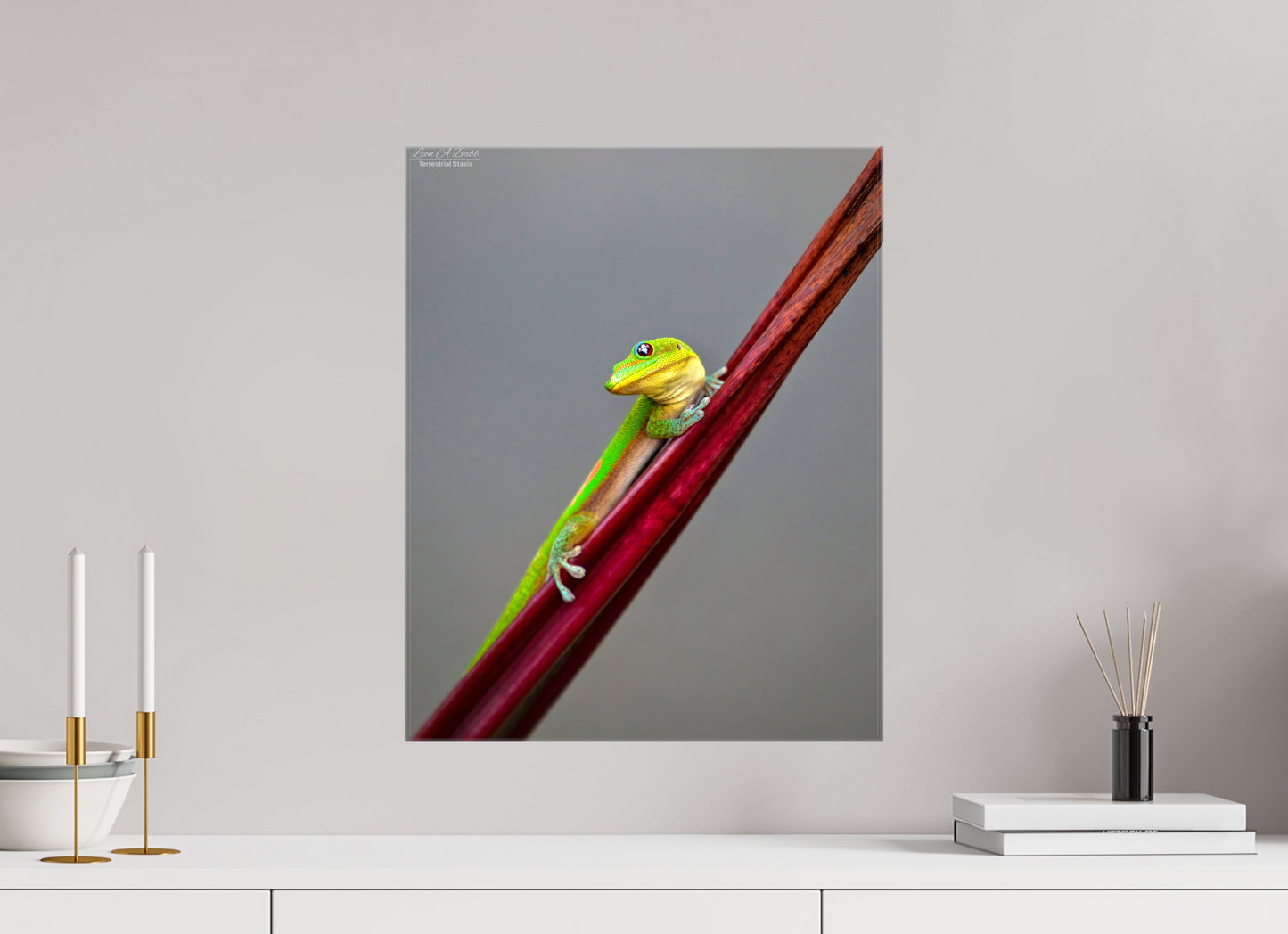 16 x 20″, Glossy Canvas Stretcher Frame with Mirrored Edges (08R) Focused Stare