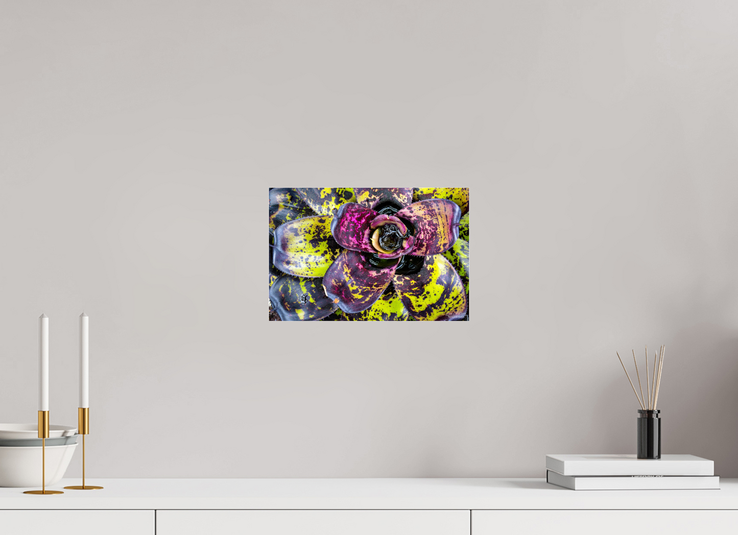12 x 8″, Photo Print Under Acrylic Glass (07B) Botanical Radiance