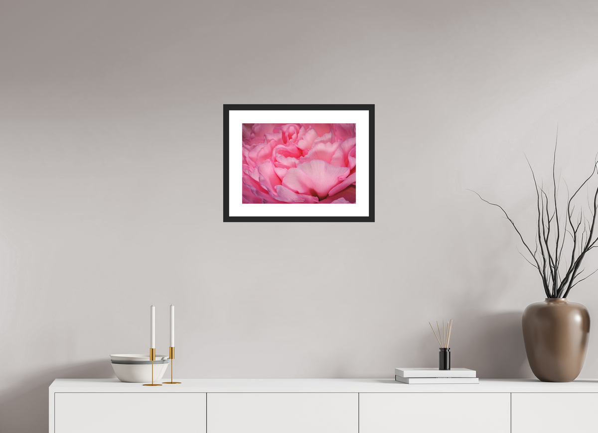 16.8 x 12″, Classic Black Matte Wood Frame Radiant Pink Petals