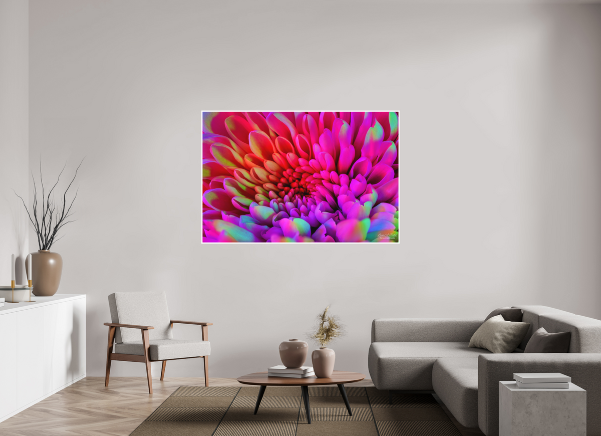 66 x 44″, Print with Matte Lamination ????