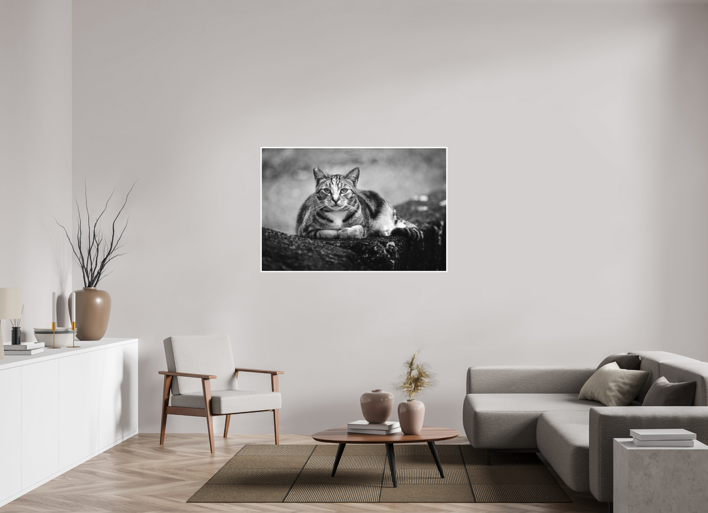 54 x 36″, Photo Print with Matte Lamination (08G) Hawaii Strays in BnW