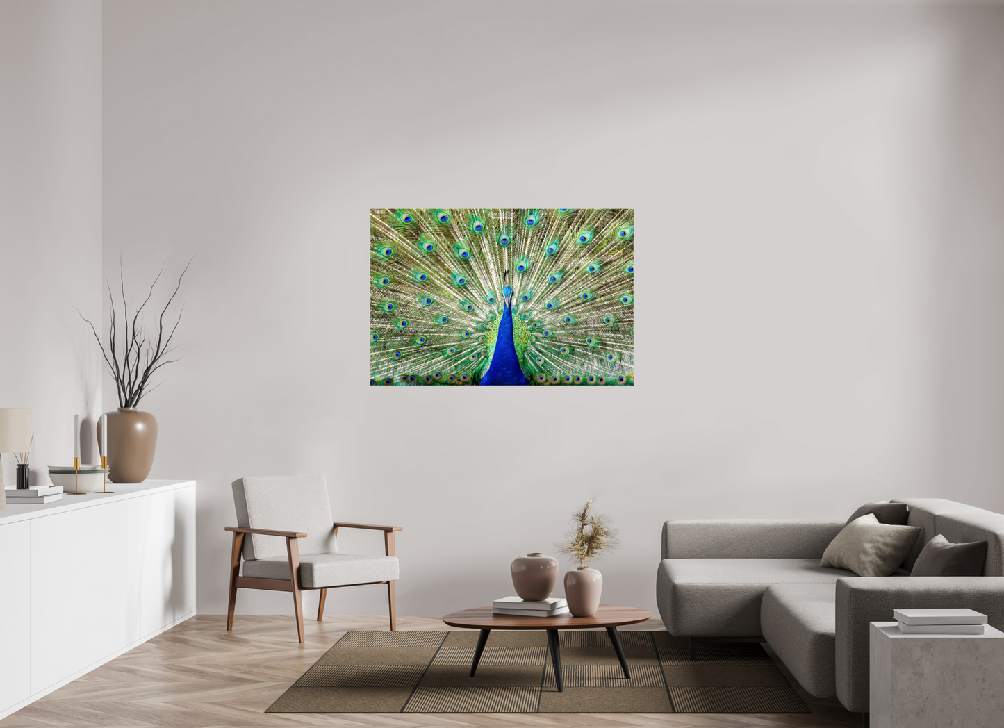 (08C) Peacock Display