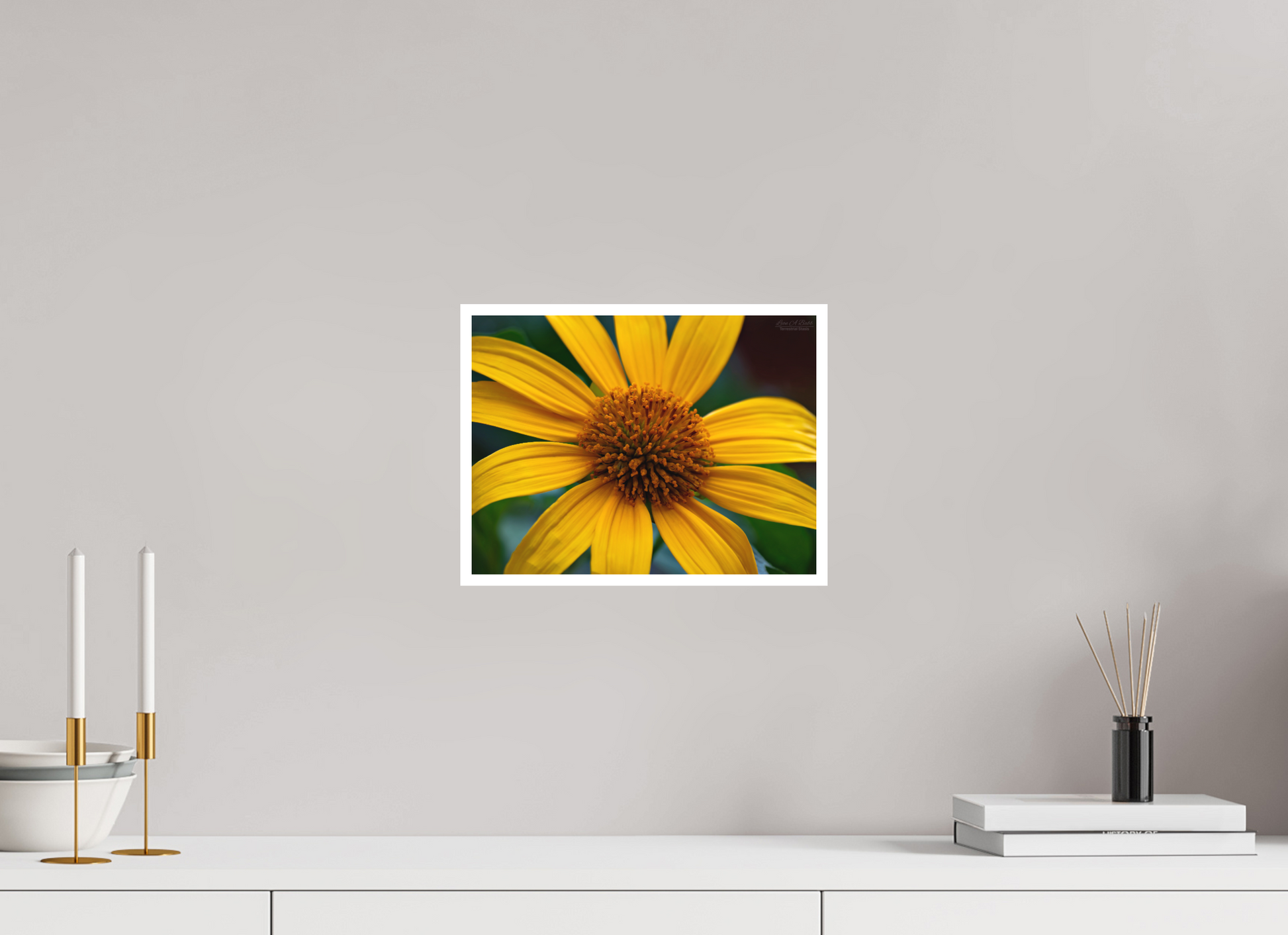 12 x 9″, Photo Print with Matte Lamination (07A) Yellow Flower