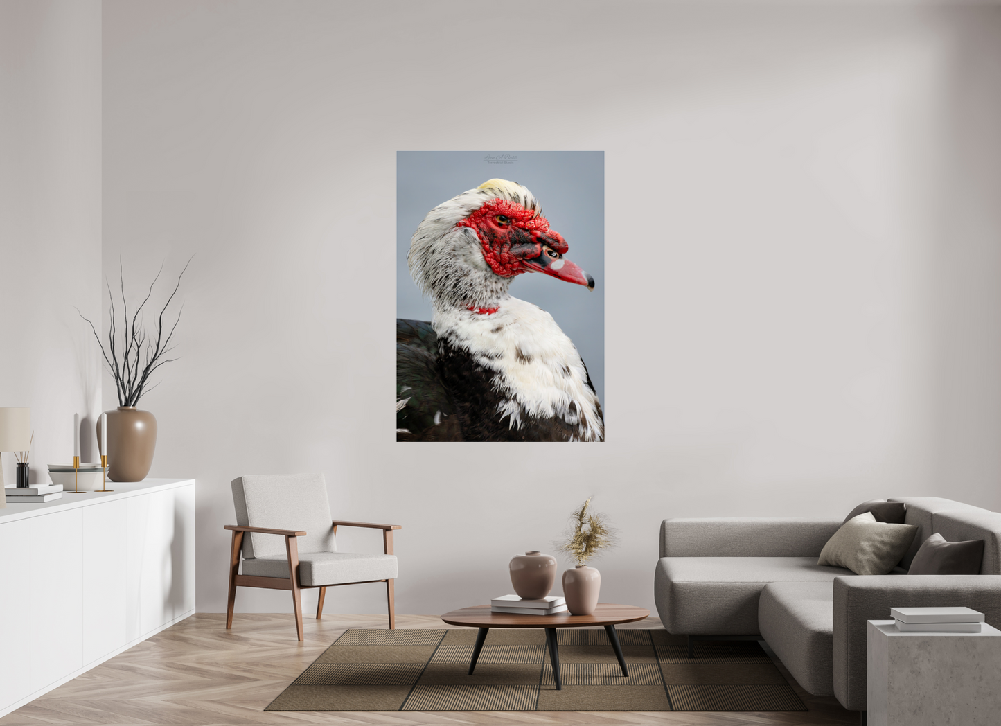 43 x 60.2″, Photo Print Under Acrylic Glass (08S) Male Muscovy Duck Portrait