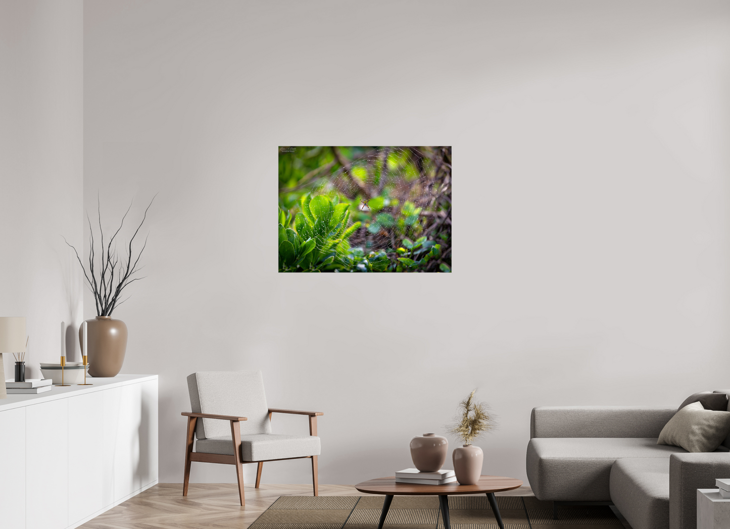 38.5 x 28″, Glossy Canvas Stretcher Frame with Mirrored Edges Hawaiian Garden Spider Web