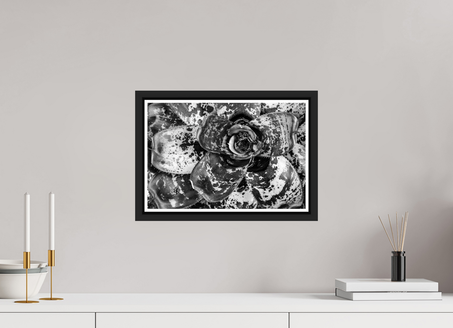15 x 10″, Black Matte Floater Frame with Acrylic Glass (07C) BnW Plant