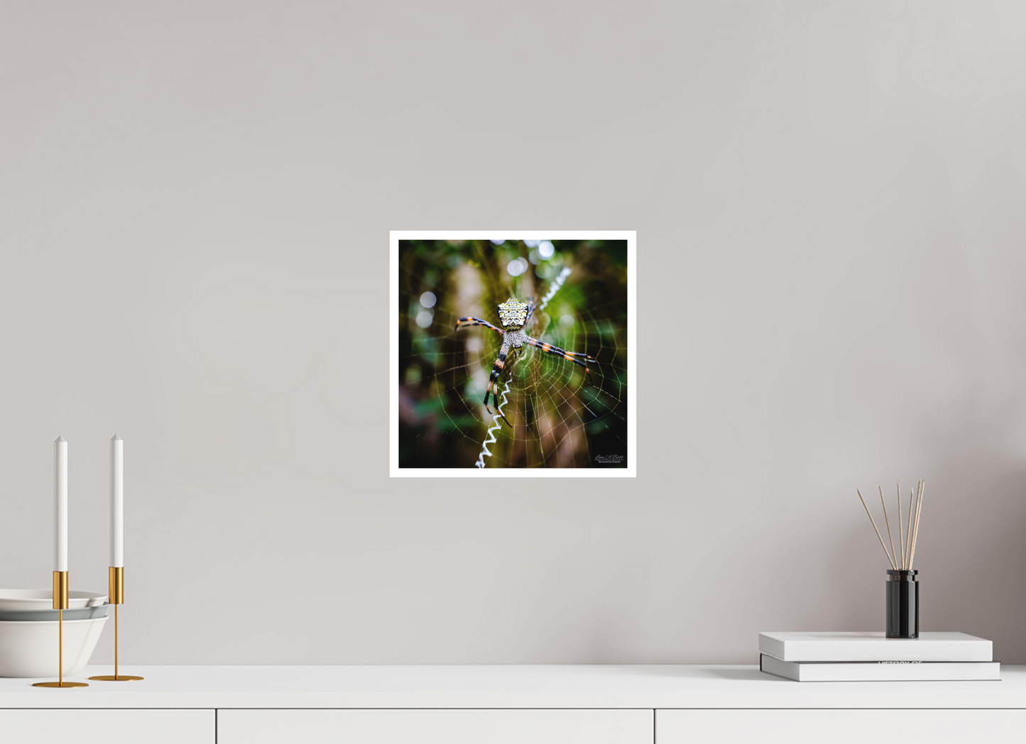 10 x 10″, Photo Print with Matte Lamination (09A) The Architect