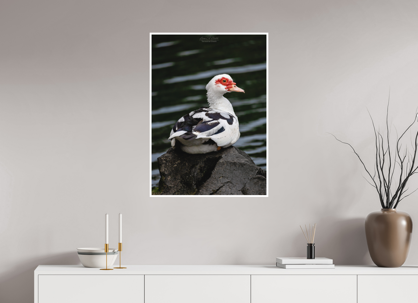 24 x 33.6″, Print with Matte Lamination (08T) Female Muscovy Duck Portrait