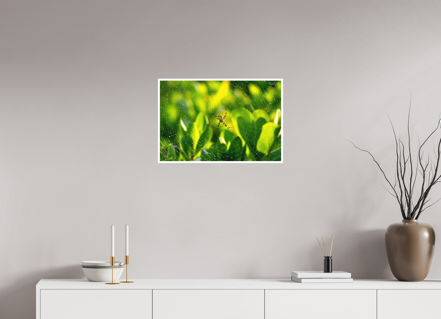 24 x 16″, Print with Matte Lamination (09C) Hawaiian Garden Spider