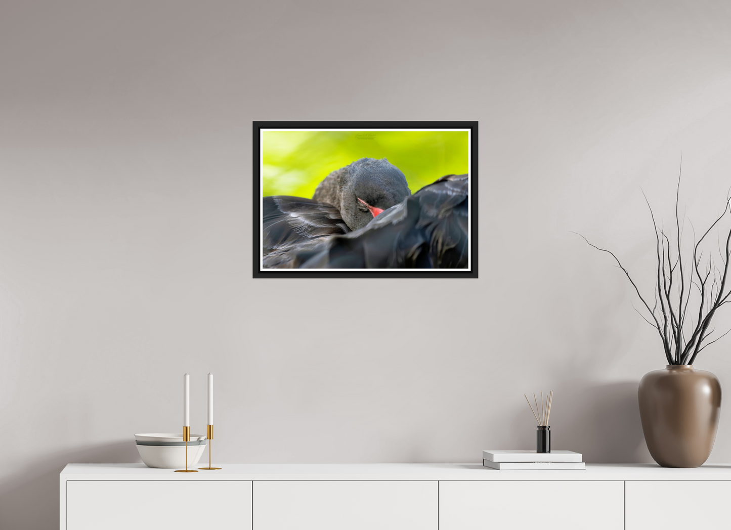 24 x 16″, Black Matte Floater Frame with Acrylic Glass (08A) Black Swan