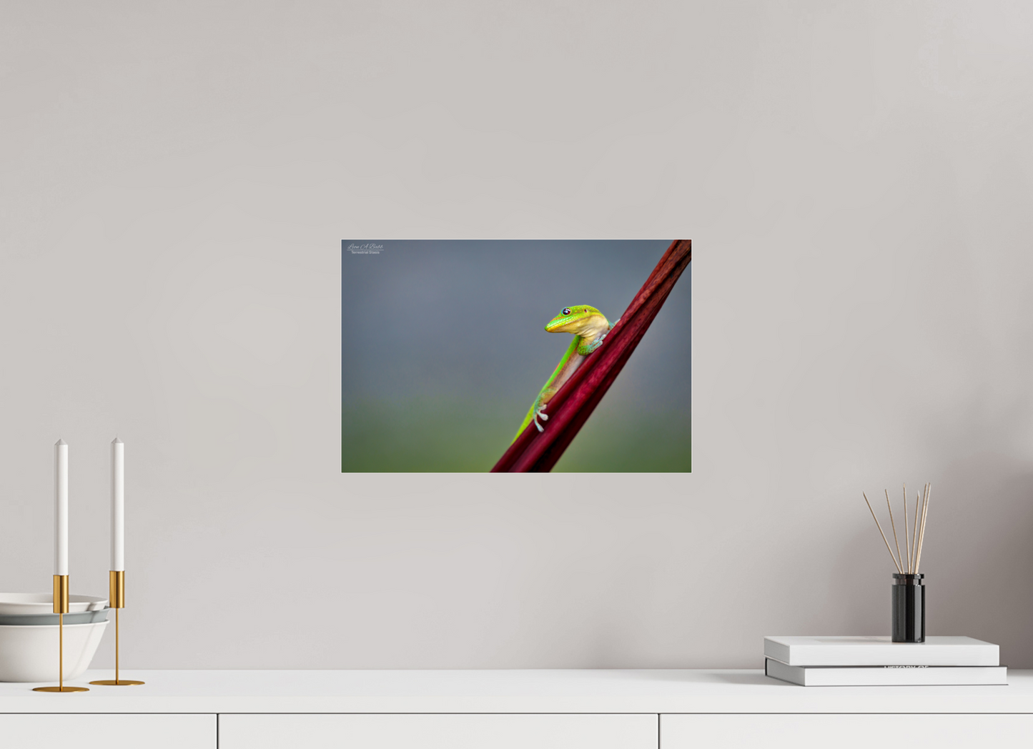 15 x 10″, Photo Print Under Acrylic Glass (08Q) Quiet Gaze