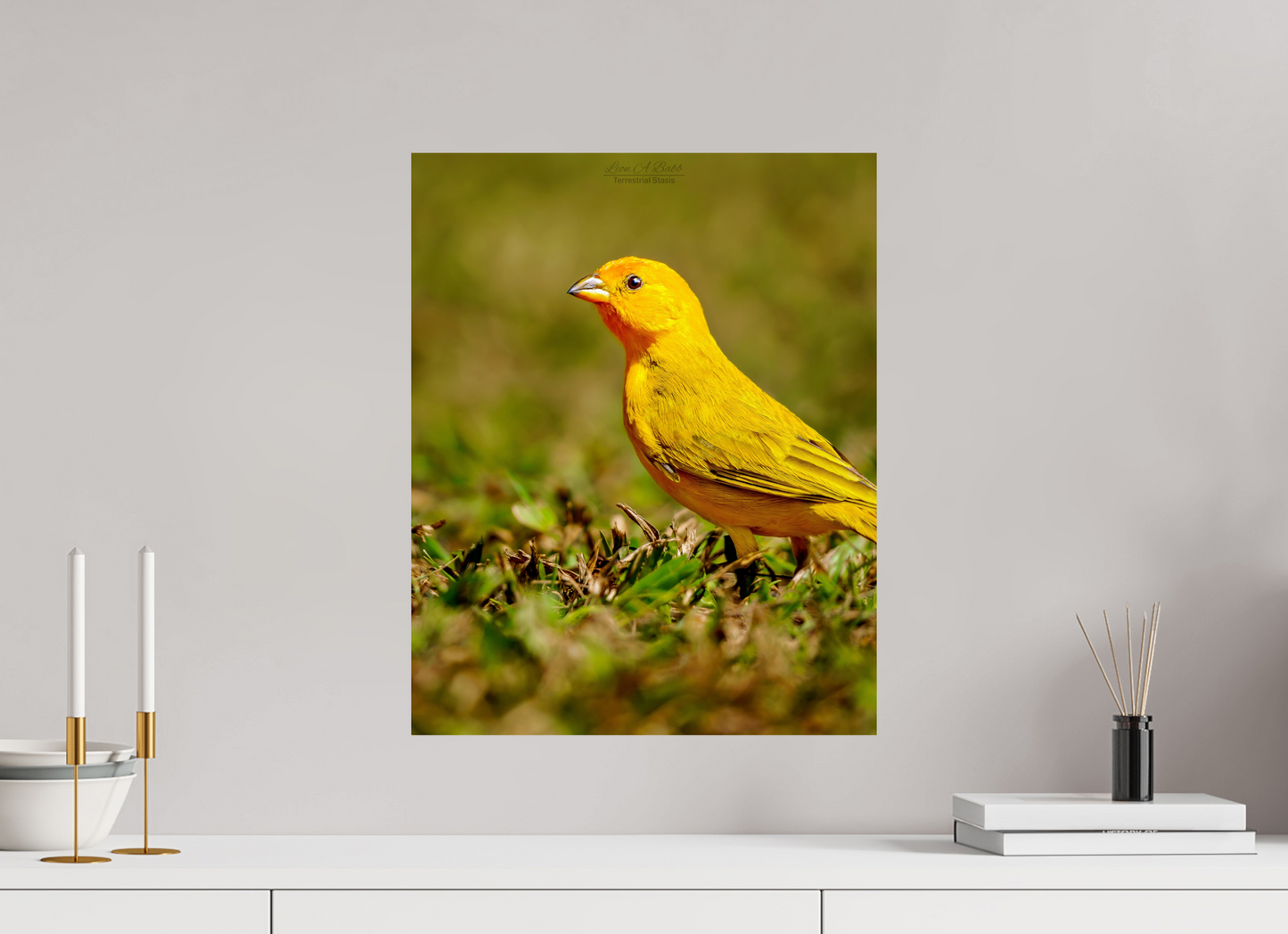 16 x 20″, Aluminum Backing with Glossy Lamination (08E) Halcyon