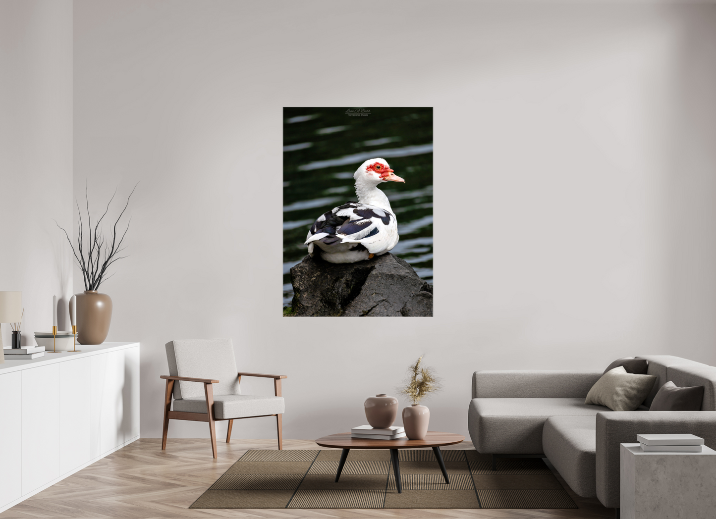 43 x 60.2″, Glossy Canvas Stretcher Frame with Mirrored Edges (08T) Female Muscovy Duck Portrait