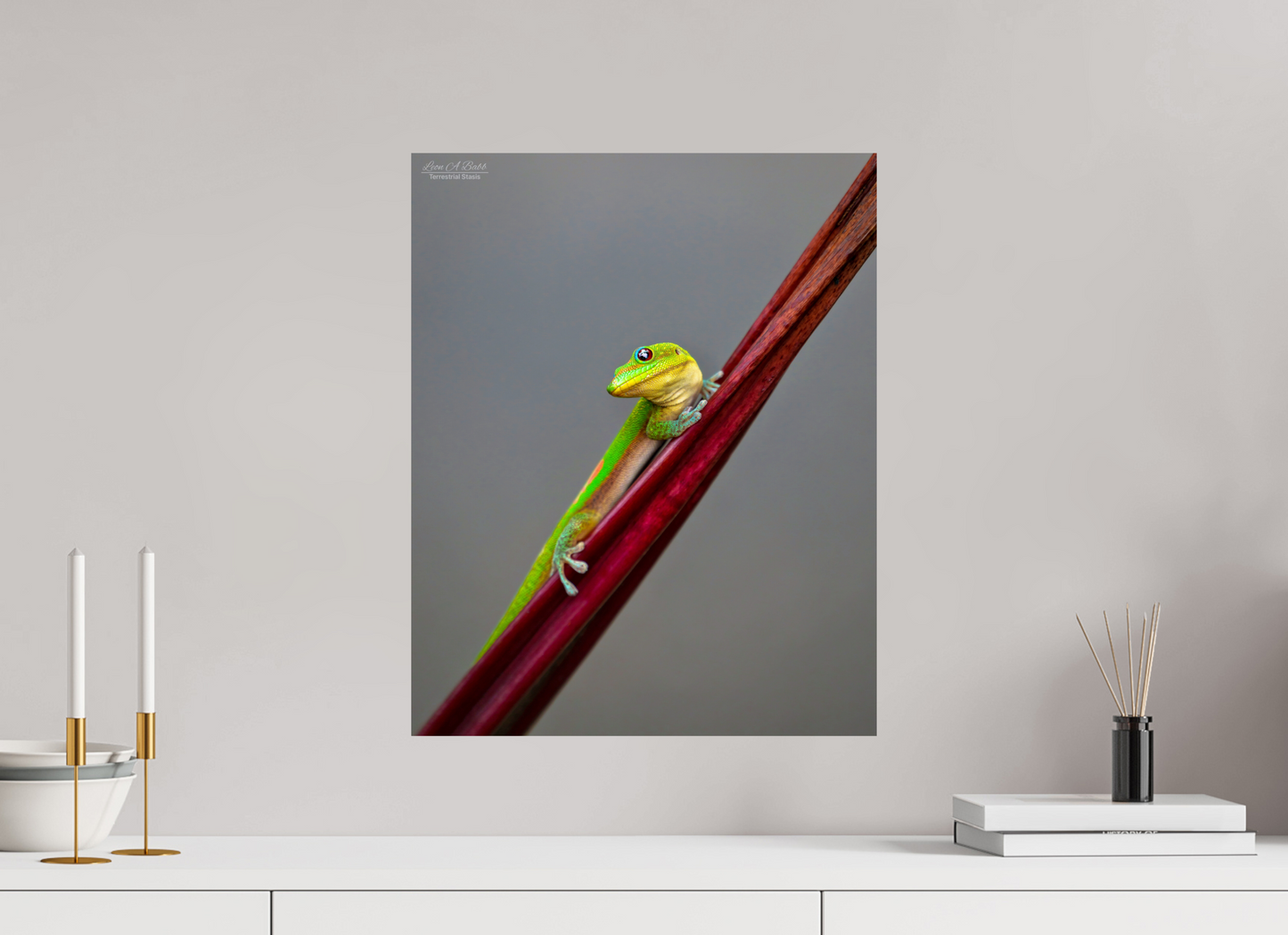 16 x 20″, Print with Aluminum Backing and Glossy Lamination (08R) Focused Stare
