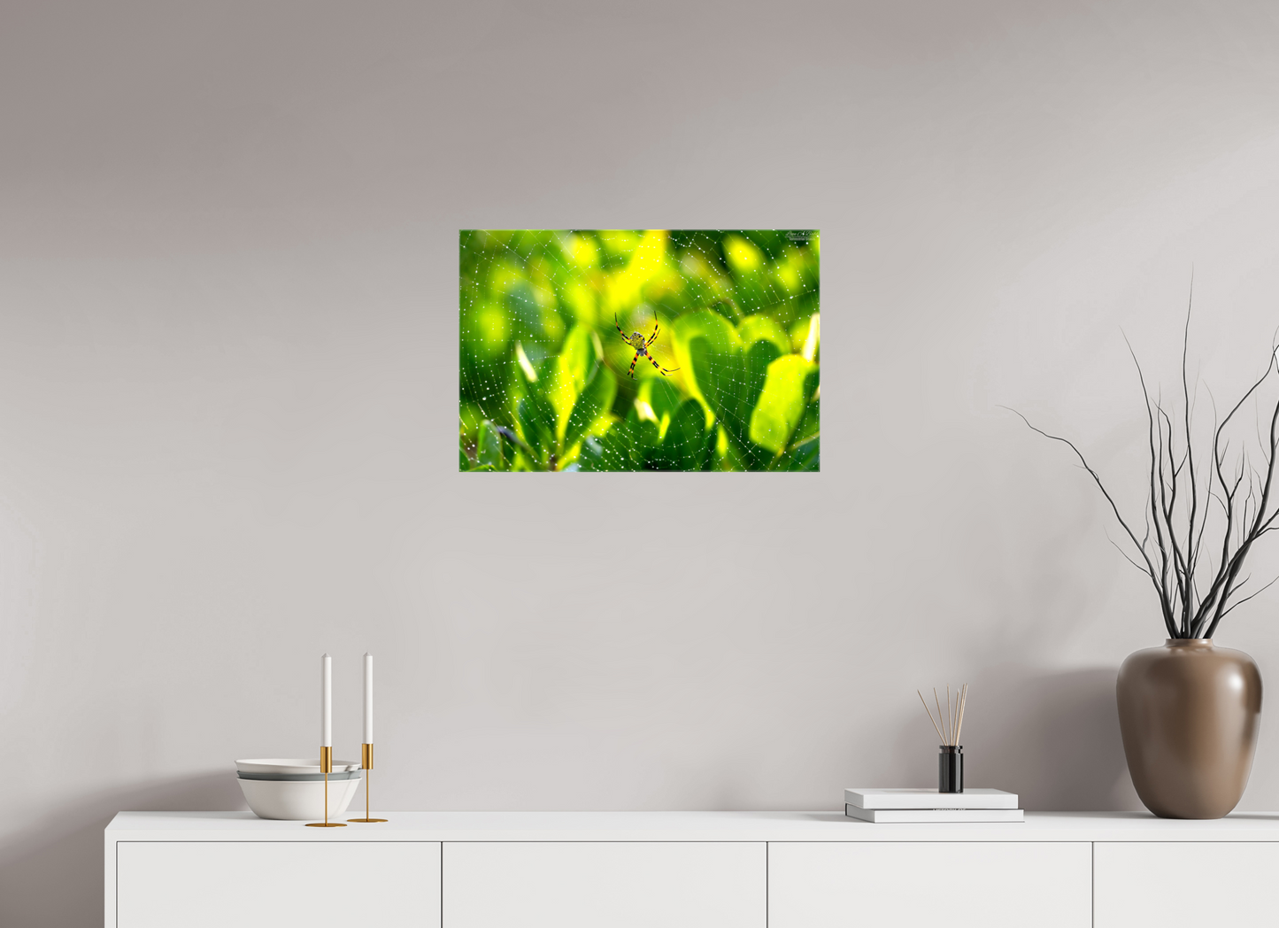 24 x 16″, Glossy Canvas Stretcher Frame with Mirrored Edges (09C) Hawaiian Garden Spider
