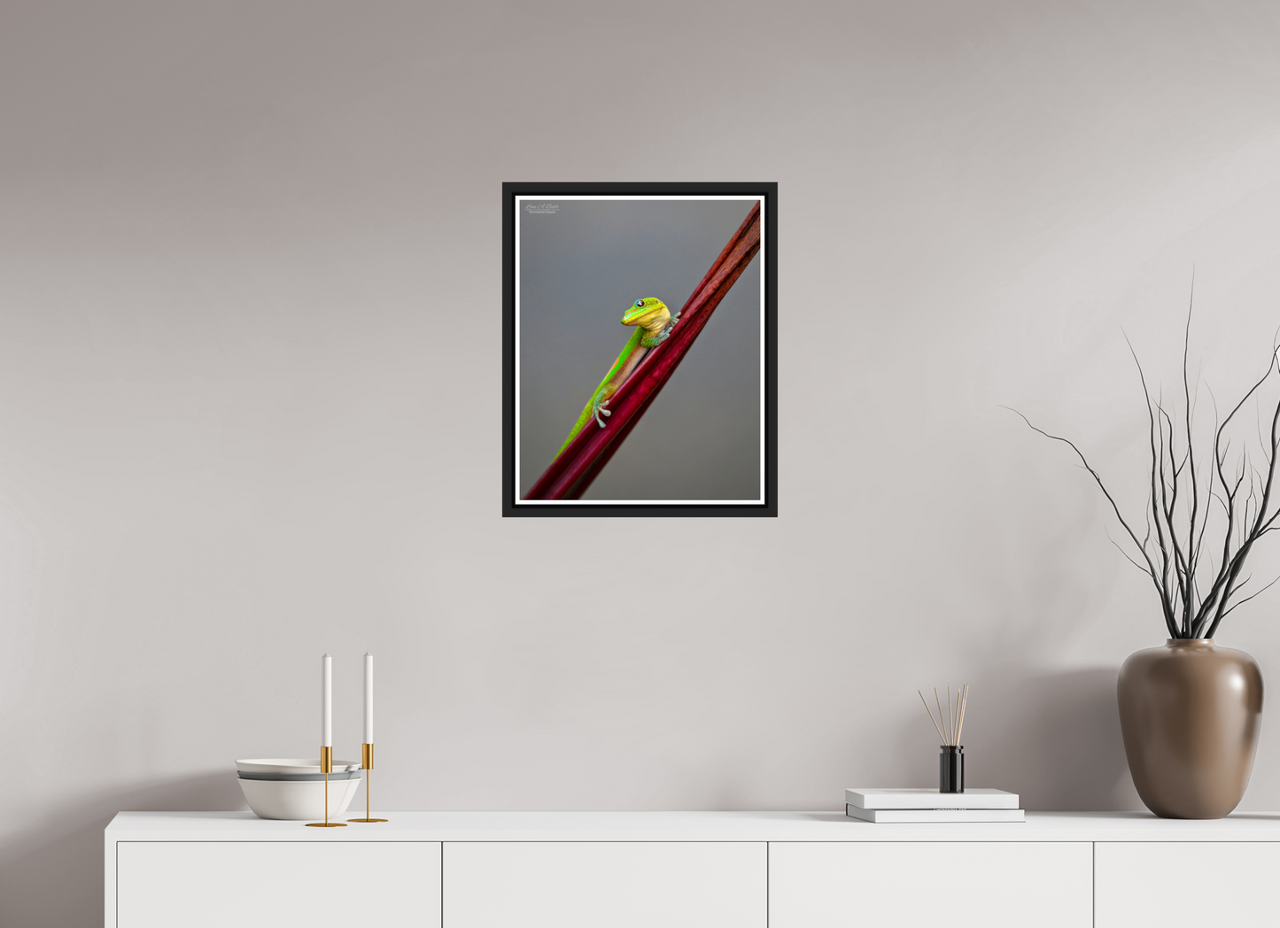 16 x 20″, Black Matte Floater Frame with Acrylic Glass (08R) Focused Stare
