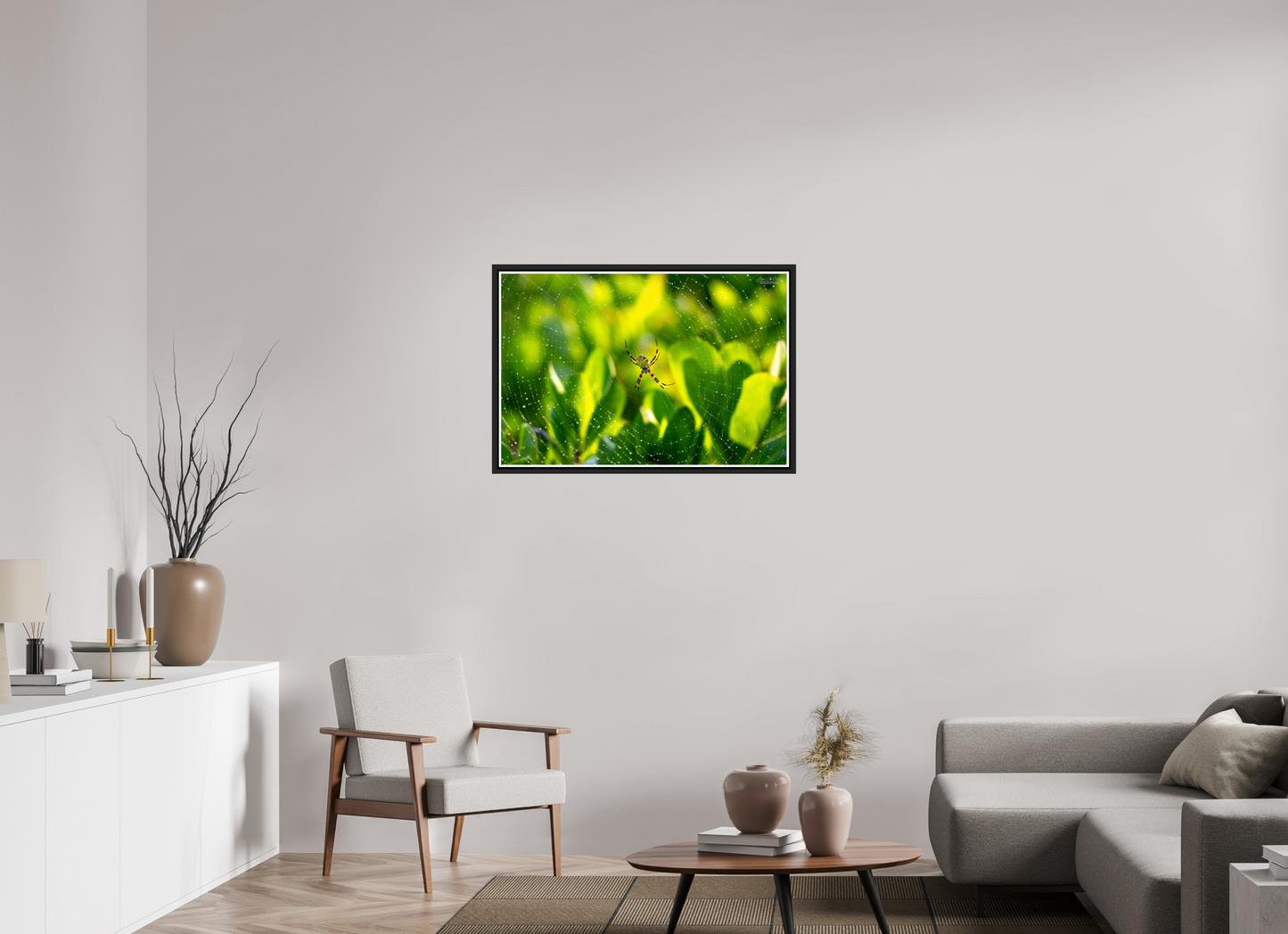 36 x 24″, Black Matte Floater Frame with Acrylic Glass (09C) Hawaiian Garden Spider