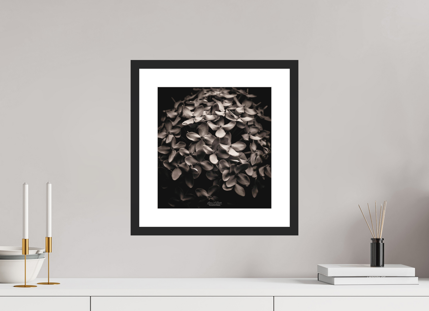 12 x 12.8″, Standard Black Matte Wood Frame (07D) Jungle Flame