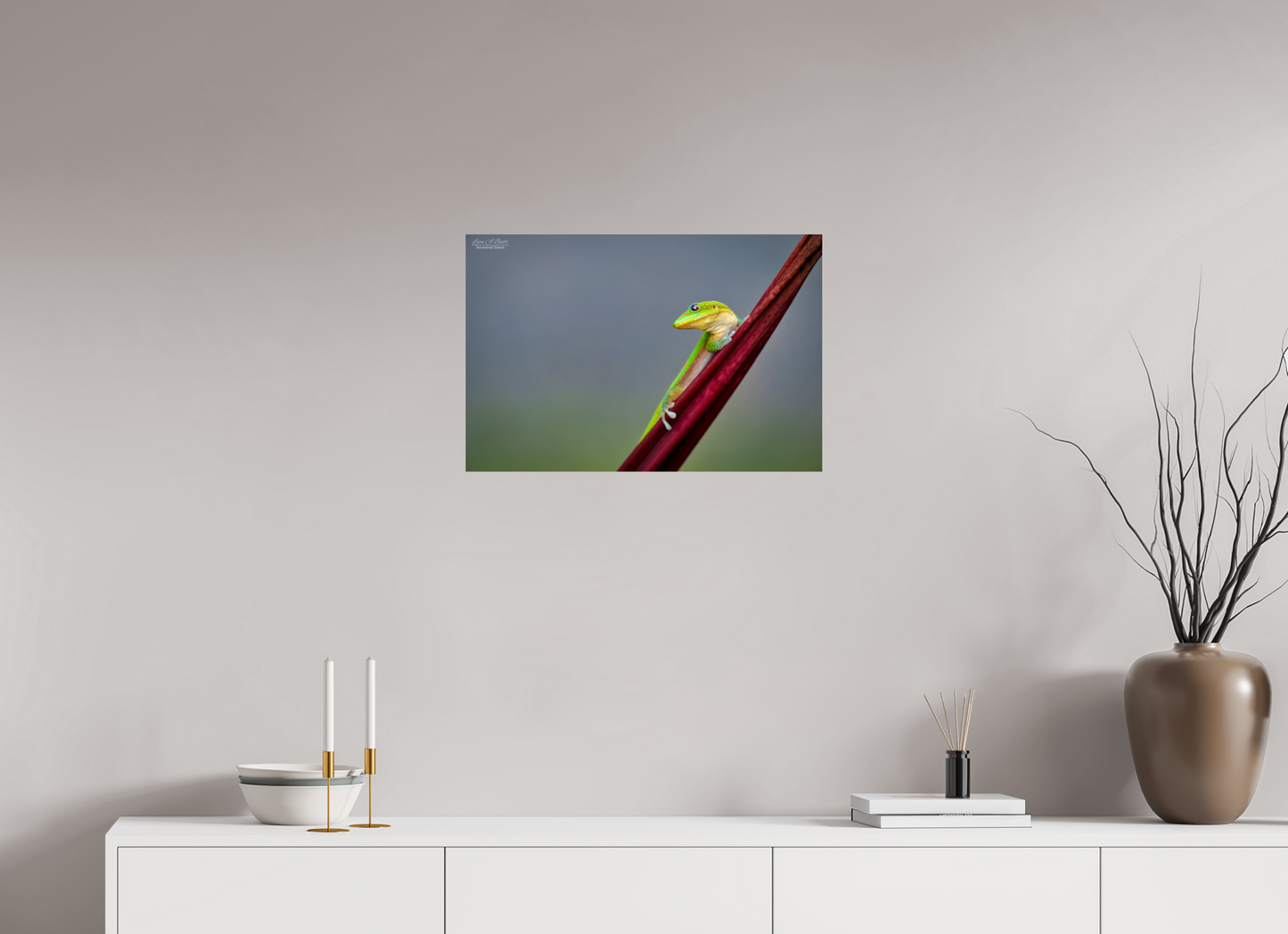 24 x 16″, Print with Aluminum Backing and Glossy Lamination (08Q) Quiet Gaze