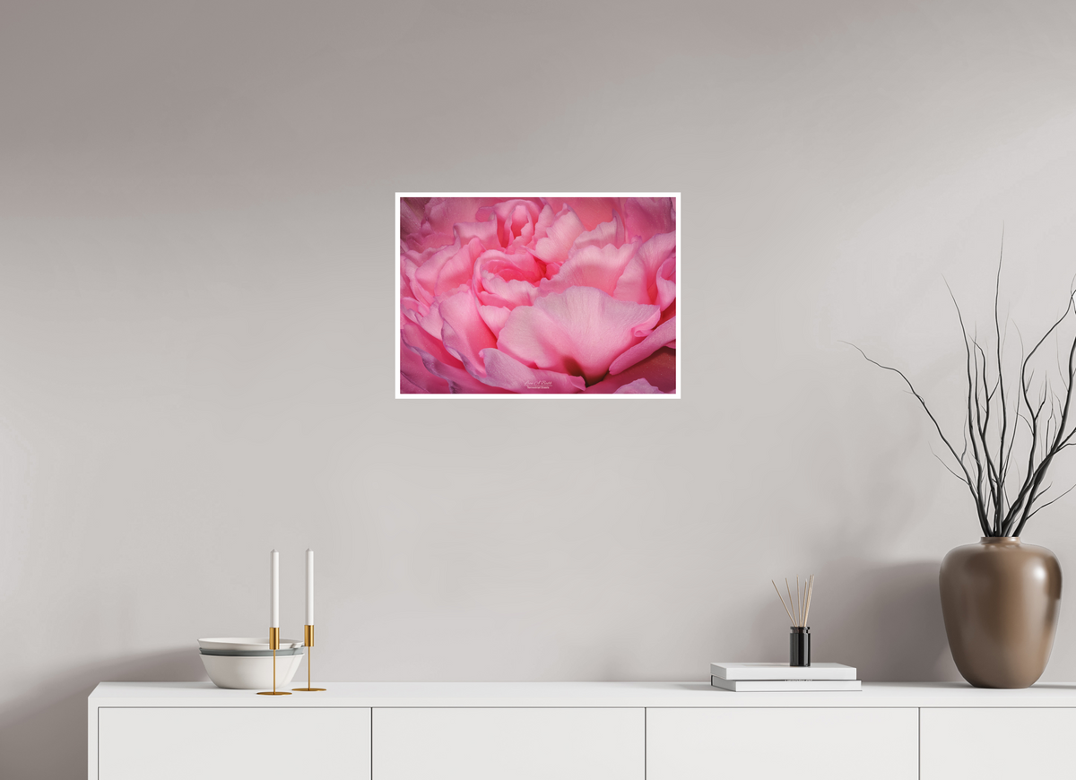 22.4 x 16″, Print with Matte Lamination Radiant Pink Petals