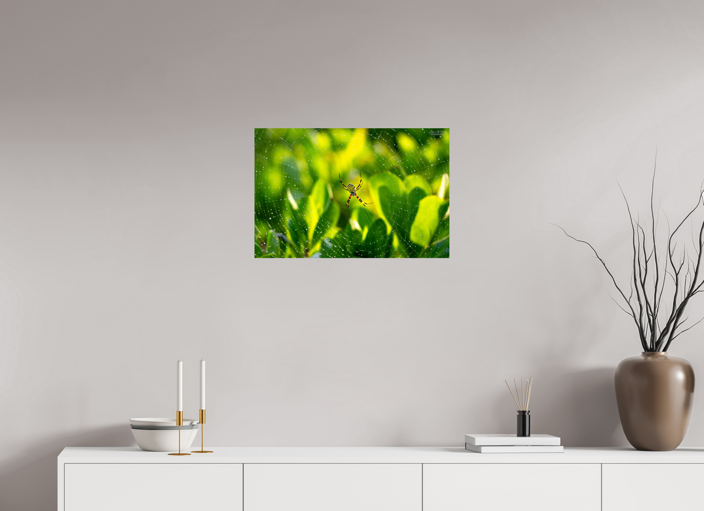 24 x 16″, Print with Aluminum Backing and Glossy Lamination (09C) Hawaiian Garden Spider