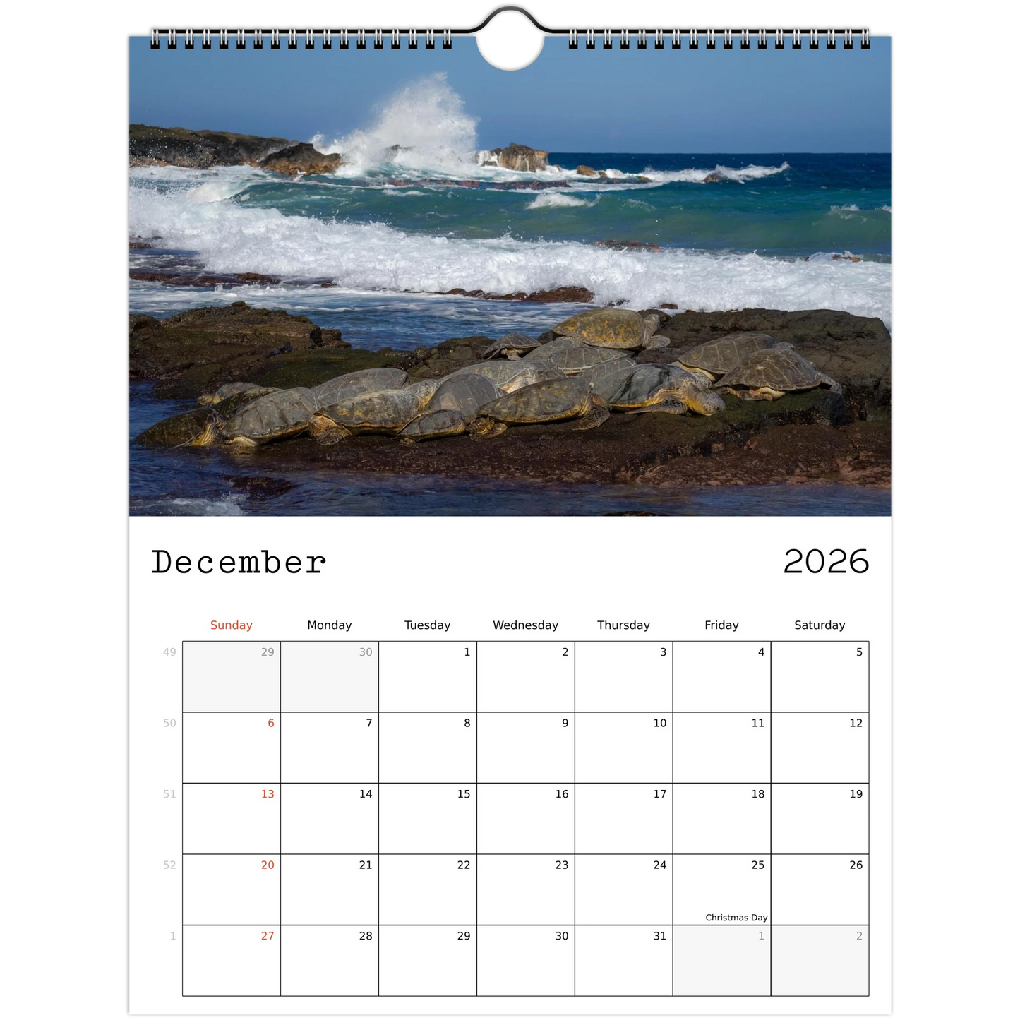 501705e9-421c-4632-bb38-49c185da8ad8