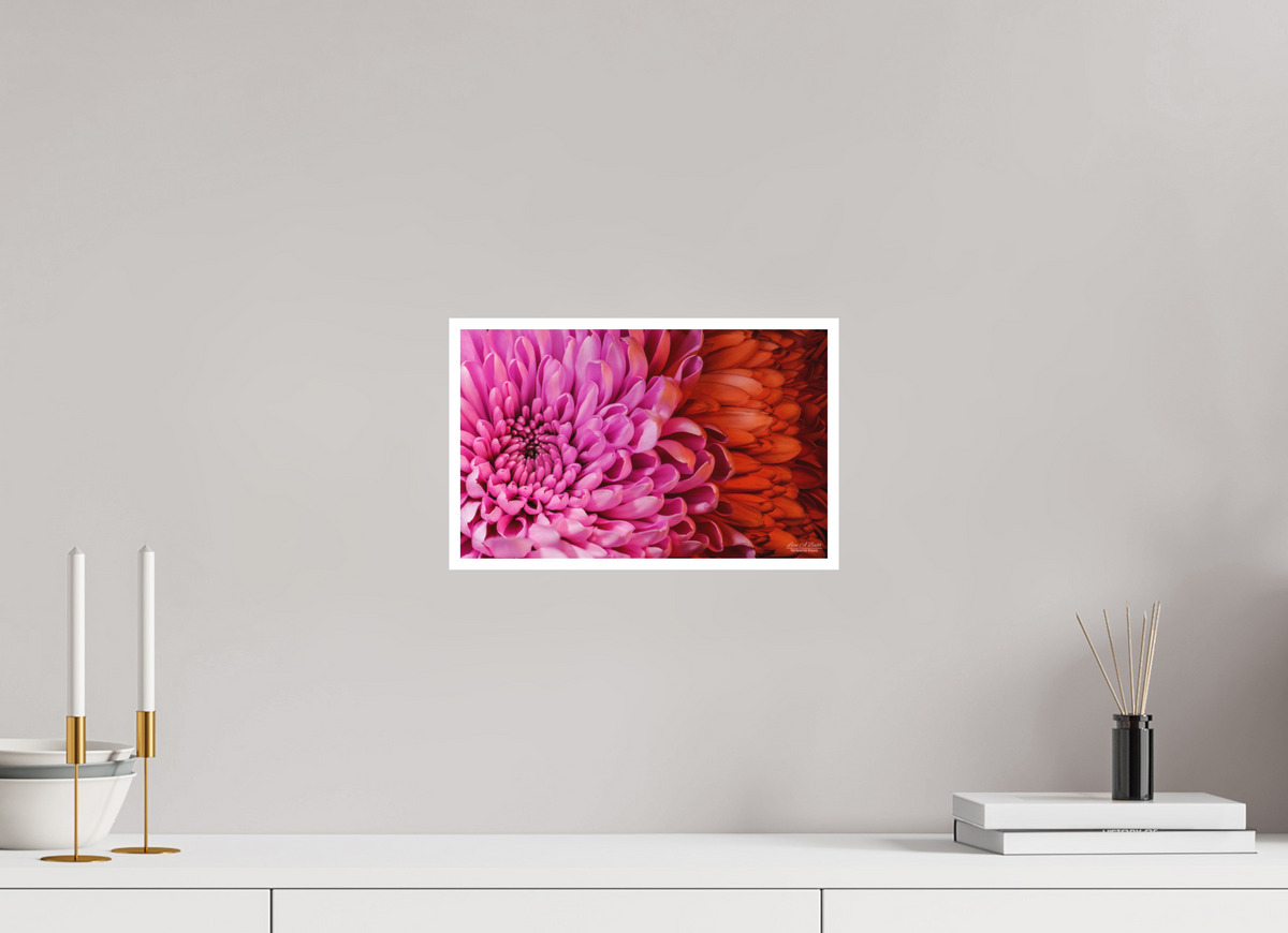 12.8 x 8″, Print with Matte Lamination ??