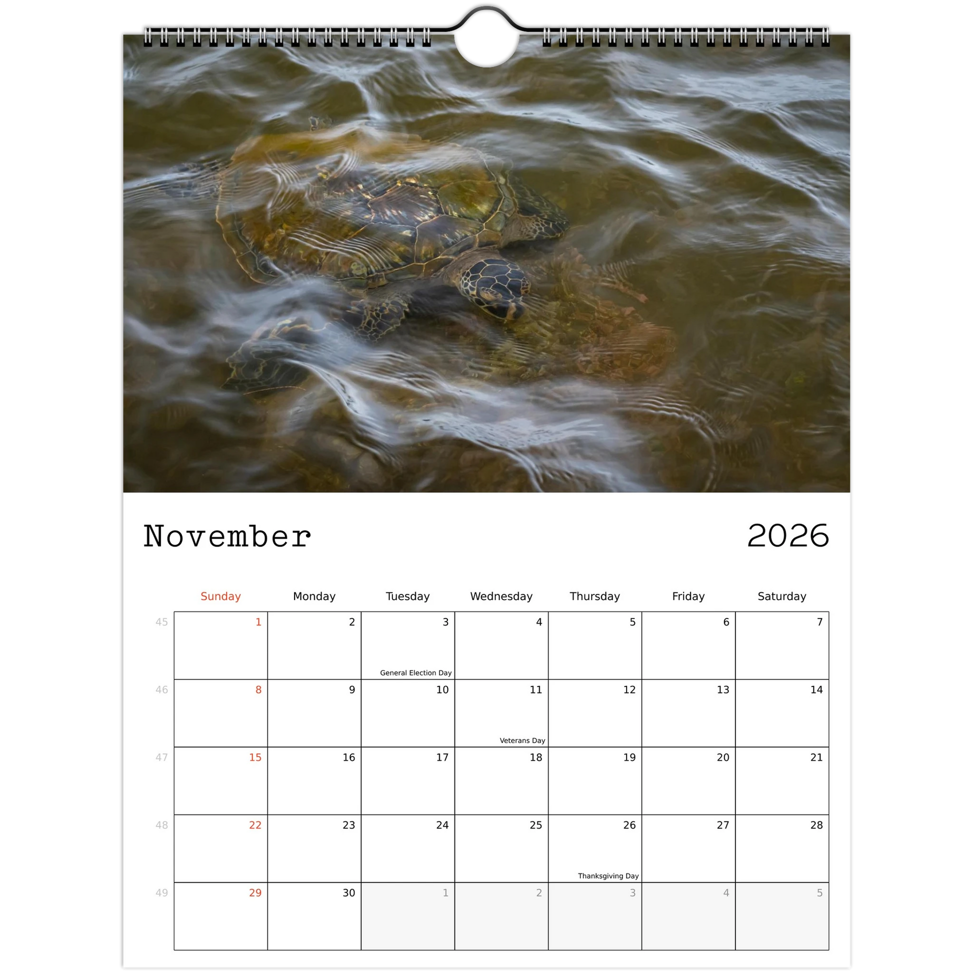 52a1a80c-aa2d-4542-8b78-95b9ad3d9806