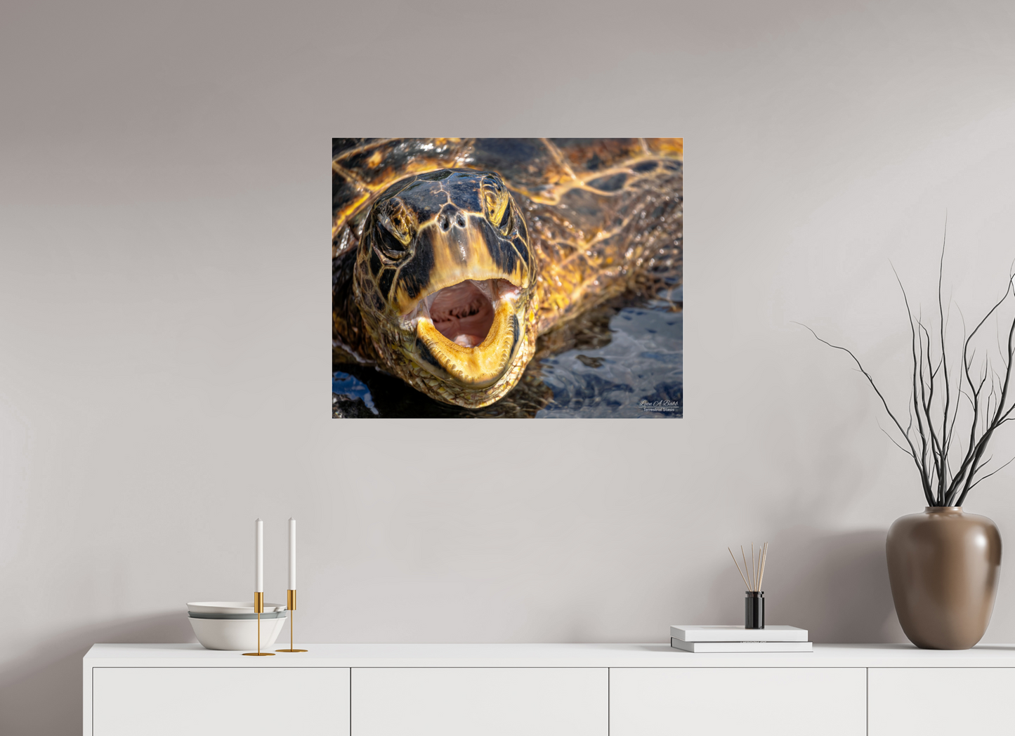 30 x 24″, Photo Print Under Acrylic Glass (000) Honu’s Serenade