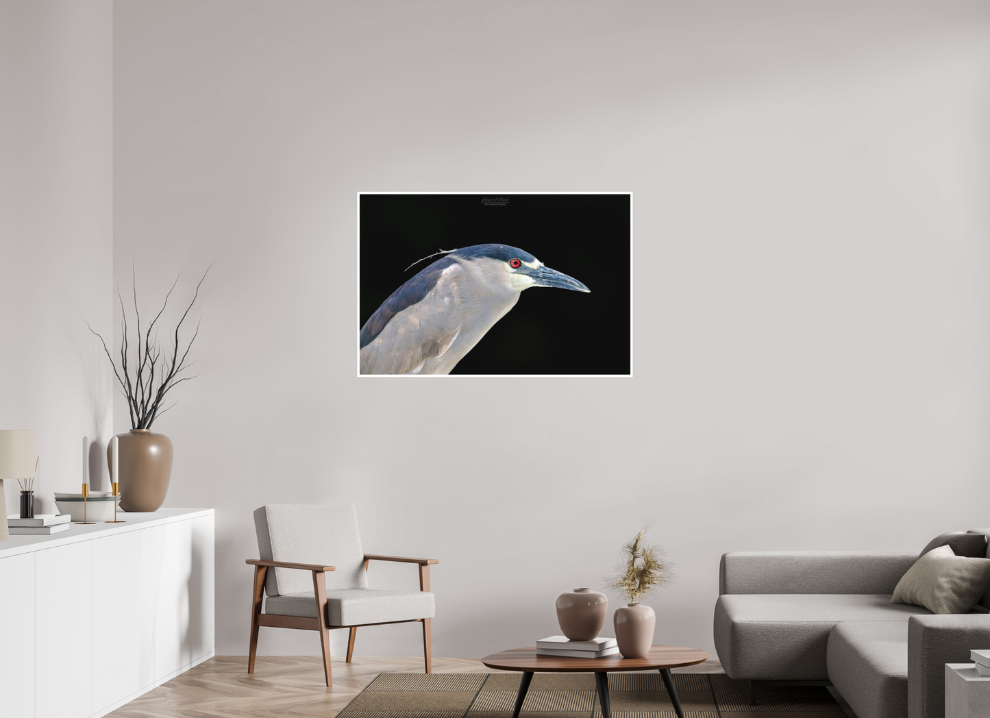 45 x 30″, Photo Print with Matte Lamination (08B) Black-crowned Night Heron