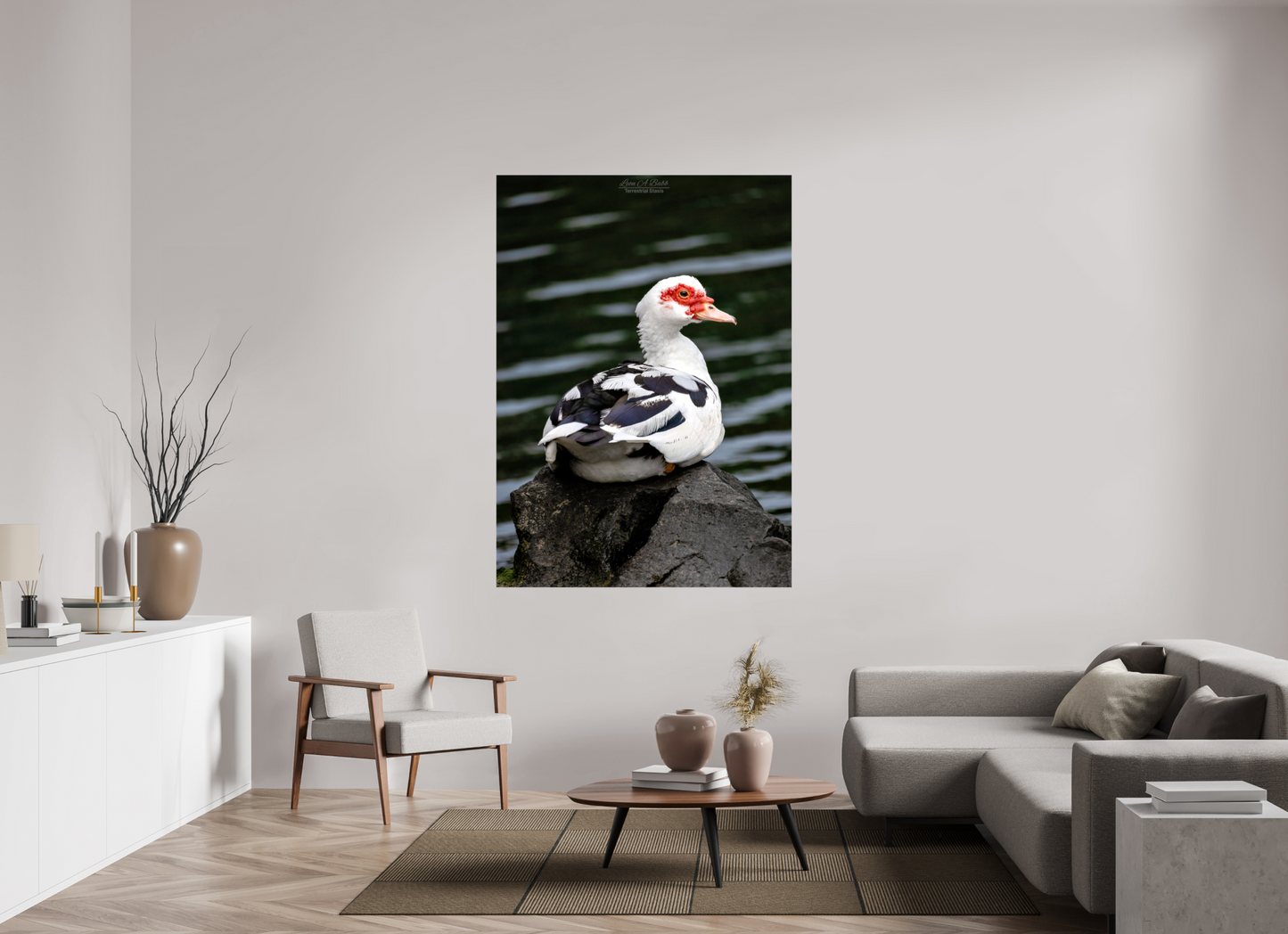 47 x 65.8″, Glossy Canvas Stretcher Frame with Mirrored Edges (08T) Female Muscovy Duck Portrait