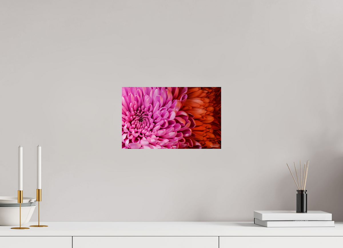 12.8 x 8″, Print with Aluminum Backing and Glossy Lamination ??