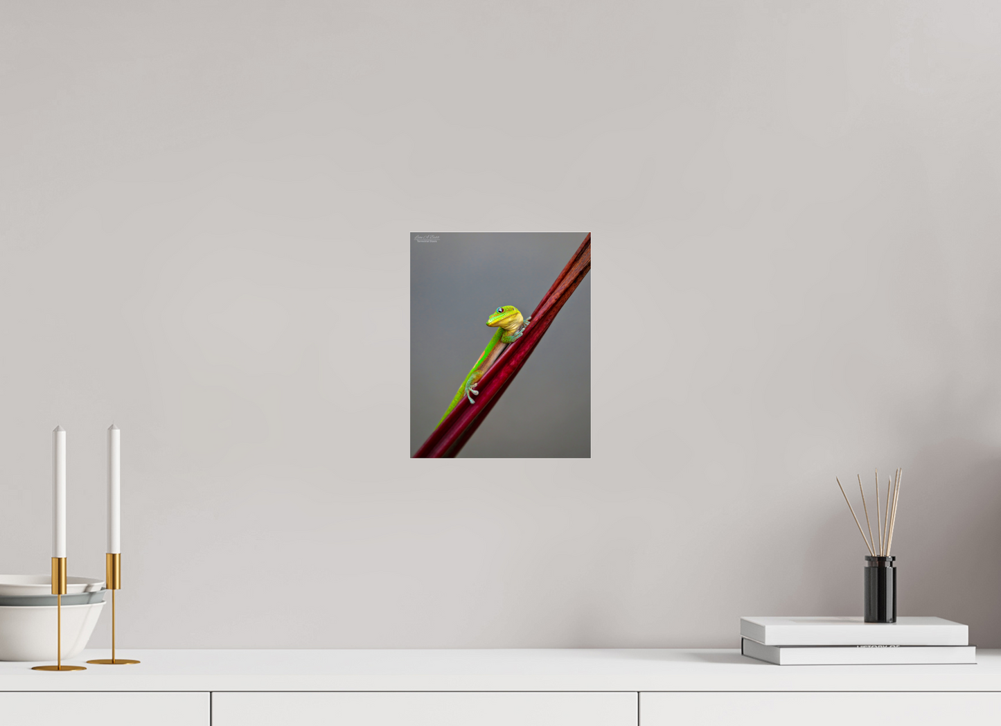 8 x 10″, Photo Print Under Acrylic Glass (08R) Focused Stare