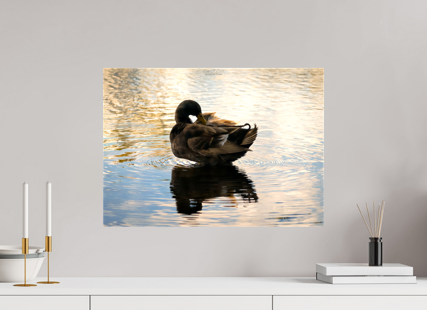 22.4 x 16″, Glossy Canvas Stretcher Frame with Mirrored Edges (08C) Quiet Drift on Wailoa River