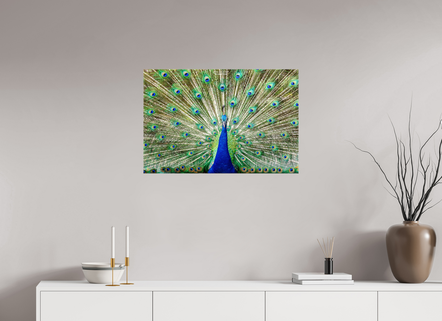 (08C) Peacock Display
