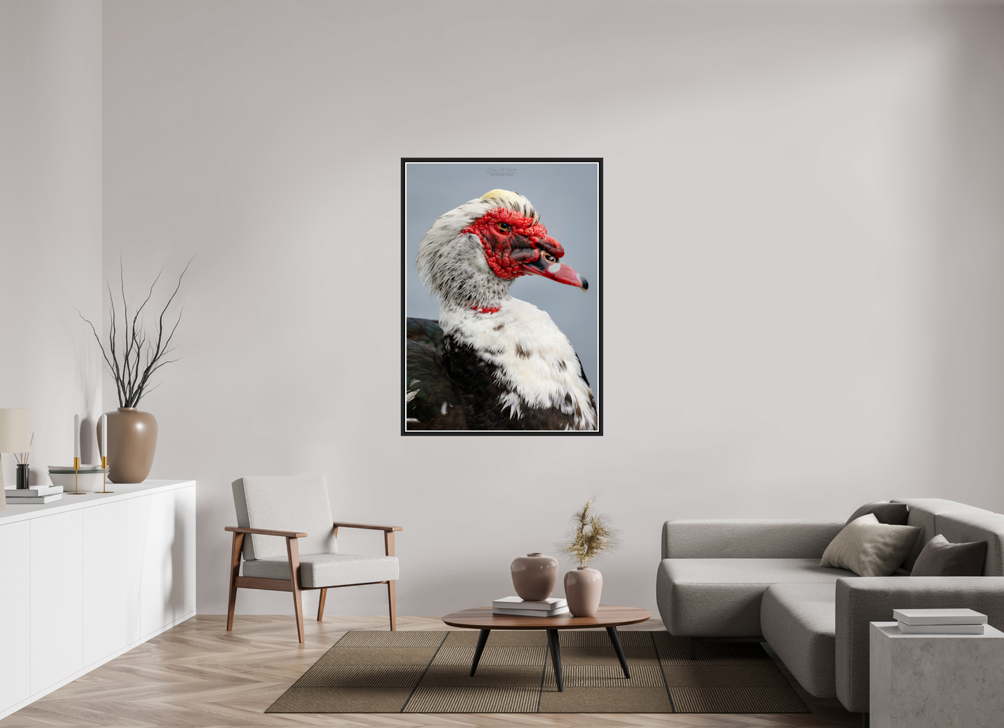 39 x 54.6″, Black Matte Floater Frame with Acrylic Glass (08S) Male Muscovy Duck Portrait