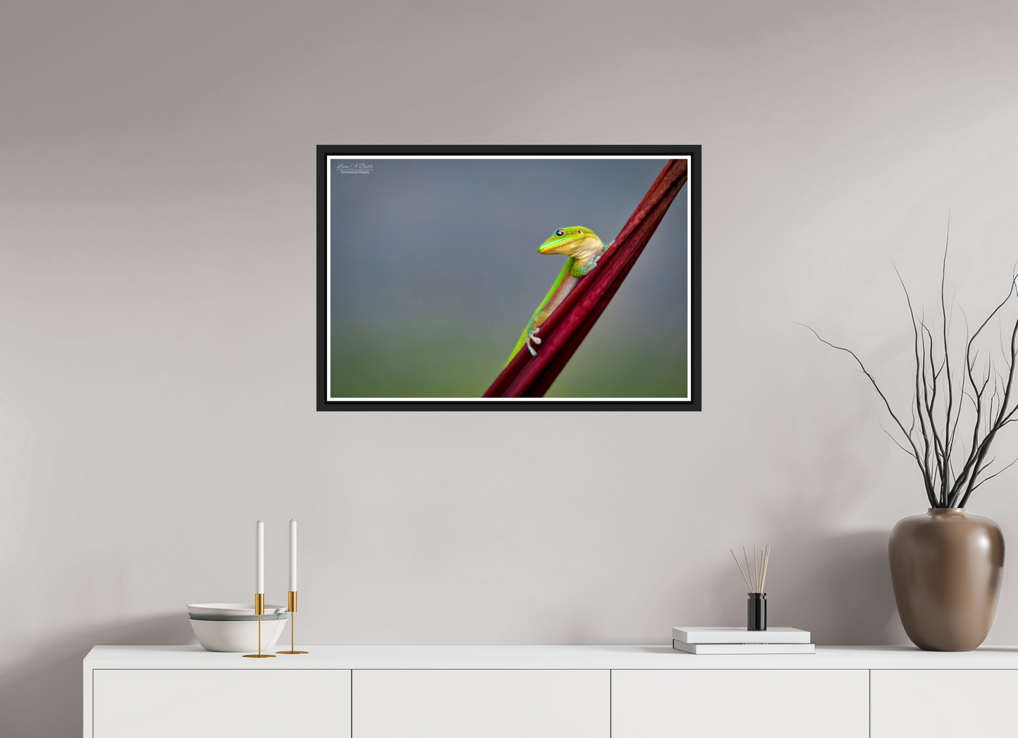 30 x 20″, Black Matte Floater Frame with Acrylic Glass (08Q) Quiet Gaze