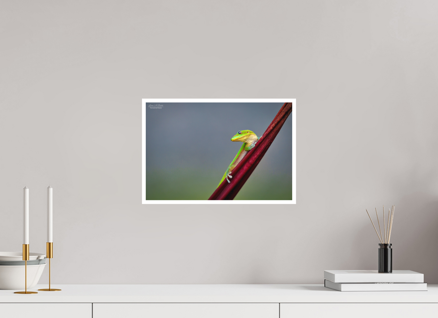 15 x 10″, Print with Matte Lamination (08Q) Quiet Gaze